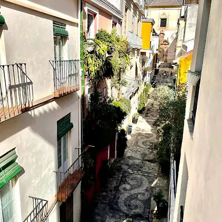 Paloma Solarium Centro Historico Apartment Malaga